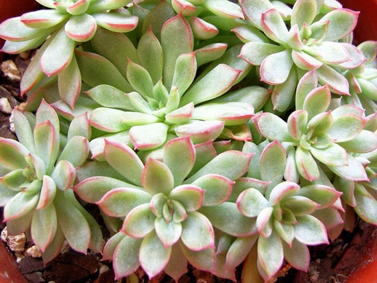 milan米兰app官网|贵州:10日前煤炭产能大智能化机械化的煤矿复工复产(图1) milan米兰app官网