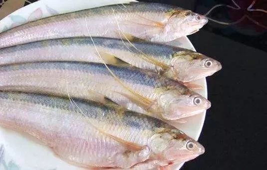 milan米兰_大连足球低谷期迎来了久违的好消息 大连足球即将掀开新篇章(图1) 米兰官方网站