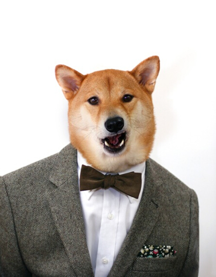 “米兰官方网站”蒂亚戈:马竞的防卫才能世界最好(图3) milan米兰