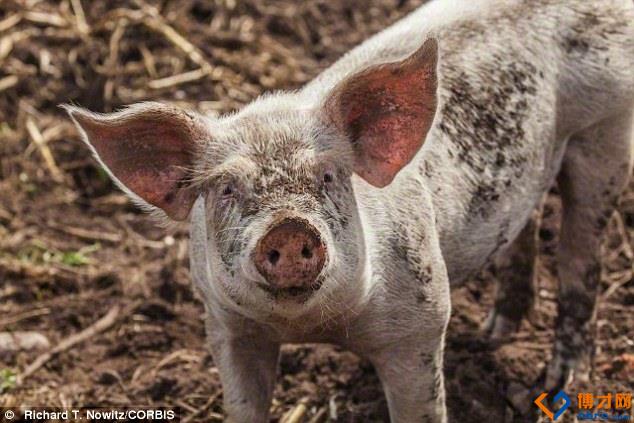 被绝杀,确实遗憾。中国队整场比赛踢得都还不错,前...【milan米兰】(图2) 米兰官方网站