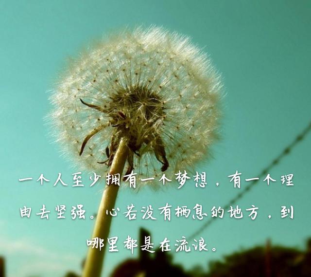 动力煤价格开始反弹 进口煤政策或有调整_milan米兰(图1) milan米兰app官网