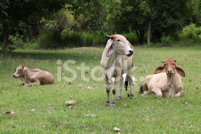 国安球迷雨夜赴工体悼念小马丁 凌晨2点依然有球迷身影_milan米兰app官网(图1) milan米兰