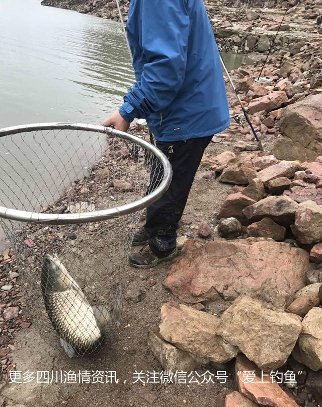 milan米兰app官网