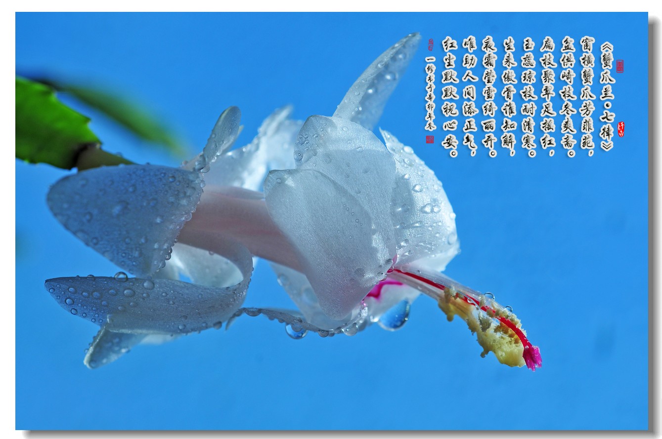 milan米兰app官网