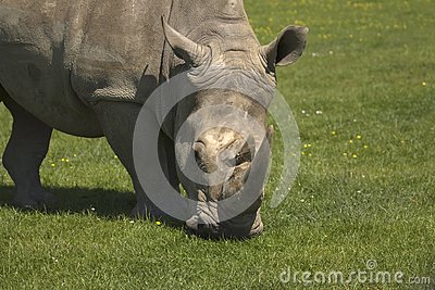 吴金贵:三年内率队重返争冠行列 球迷:人生有多少个三年?“milan米兰app官网”(图1) milan米兰app官网