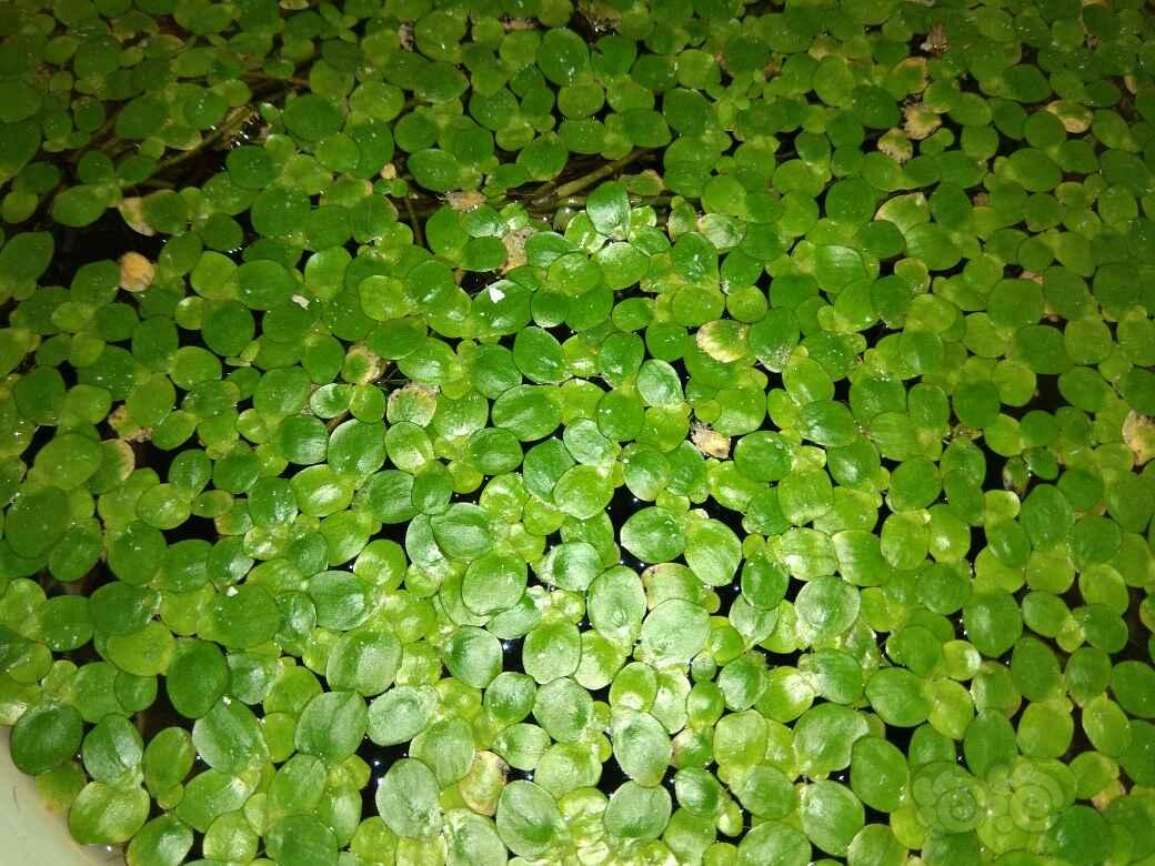 米兰官方网站-三峡集团两海外项目建设进入新阶段(图2) milan米兰app官网